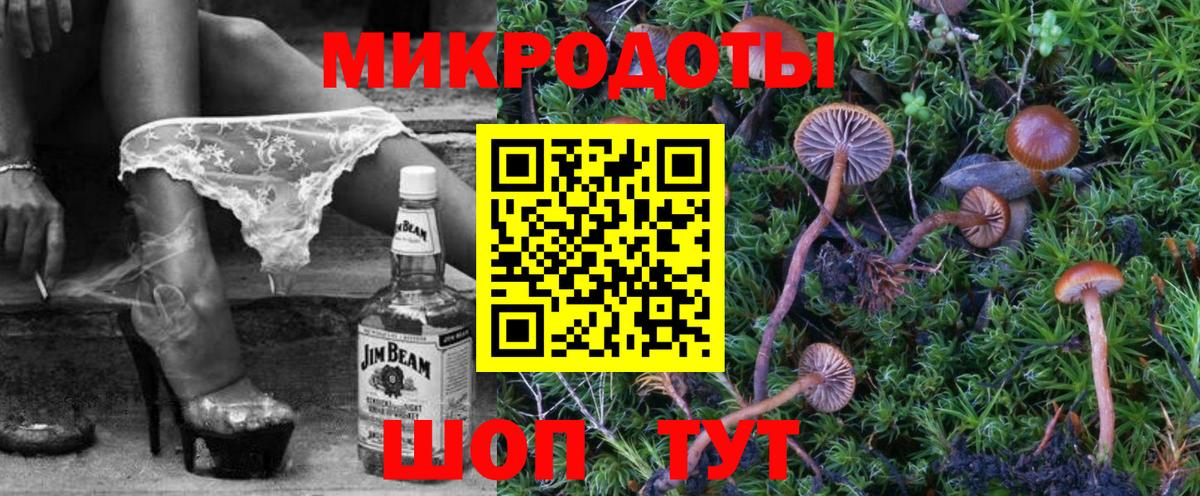 Шебекино  Галлюциногенные грибы Cubensis  Вход с VPN  где найти наркотики  Галлюциногенные грибы Magic Shrooms 